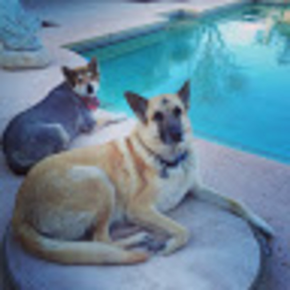 Meet your Posher, Sandra - Picture 1 of 1